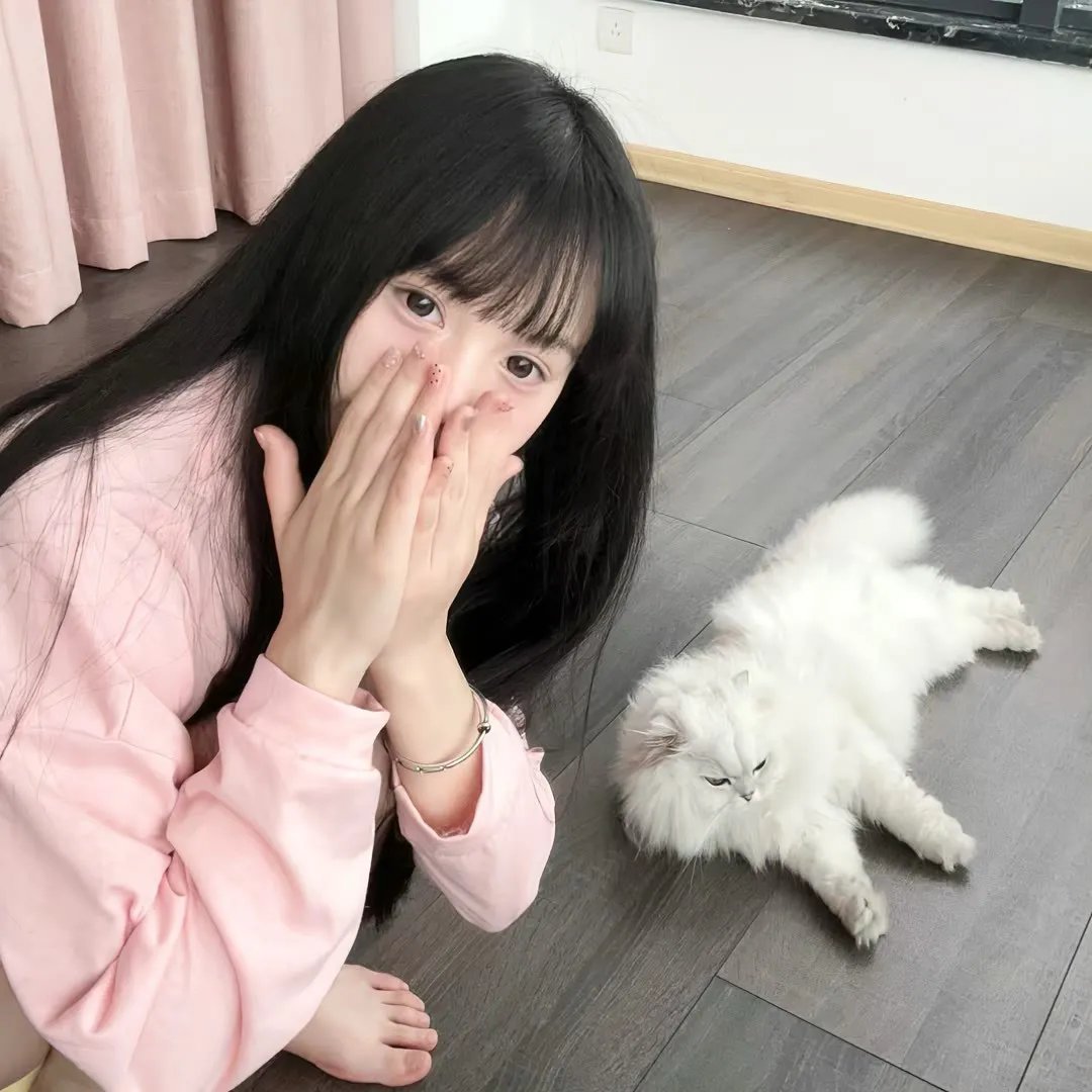 西贝尔